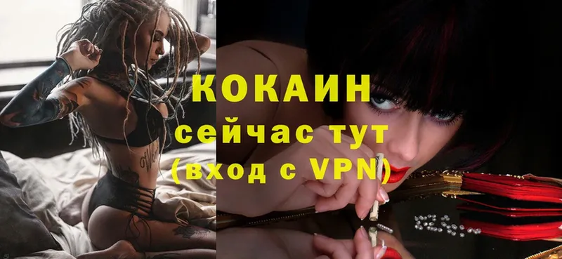 Cocaine VHQ  купить наркотики цена  Моздок 