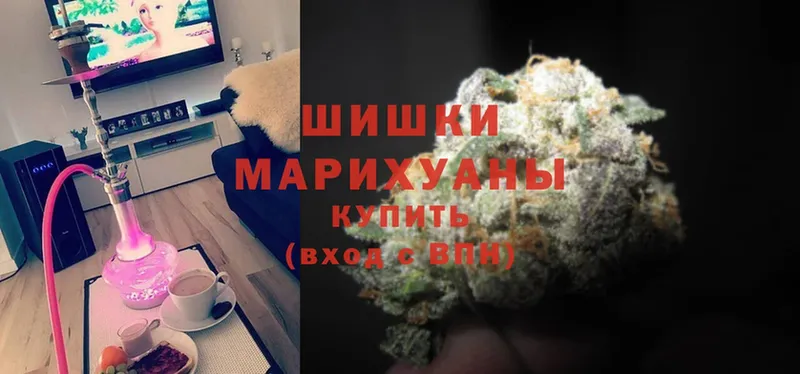 Каннабис Amnesia  магазин продажи   Моздок 